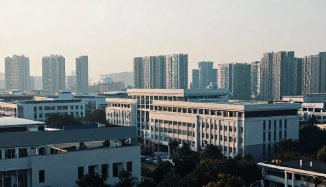 适用边界:查询更新策略在哪些场景下有效